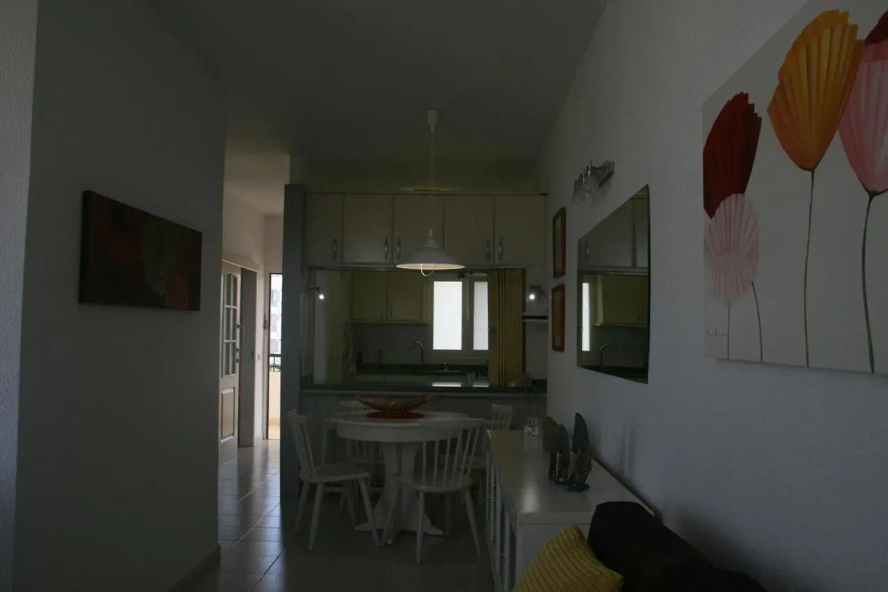 Apartamento Vacacional Playa Playa de las Americas  Playa de las Americas (Tenerife)