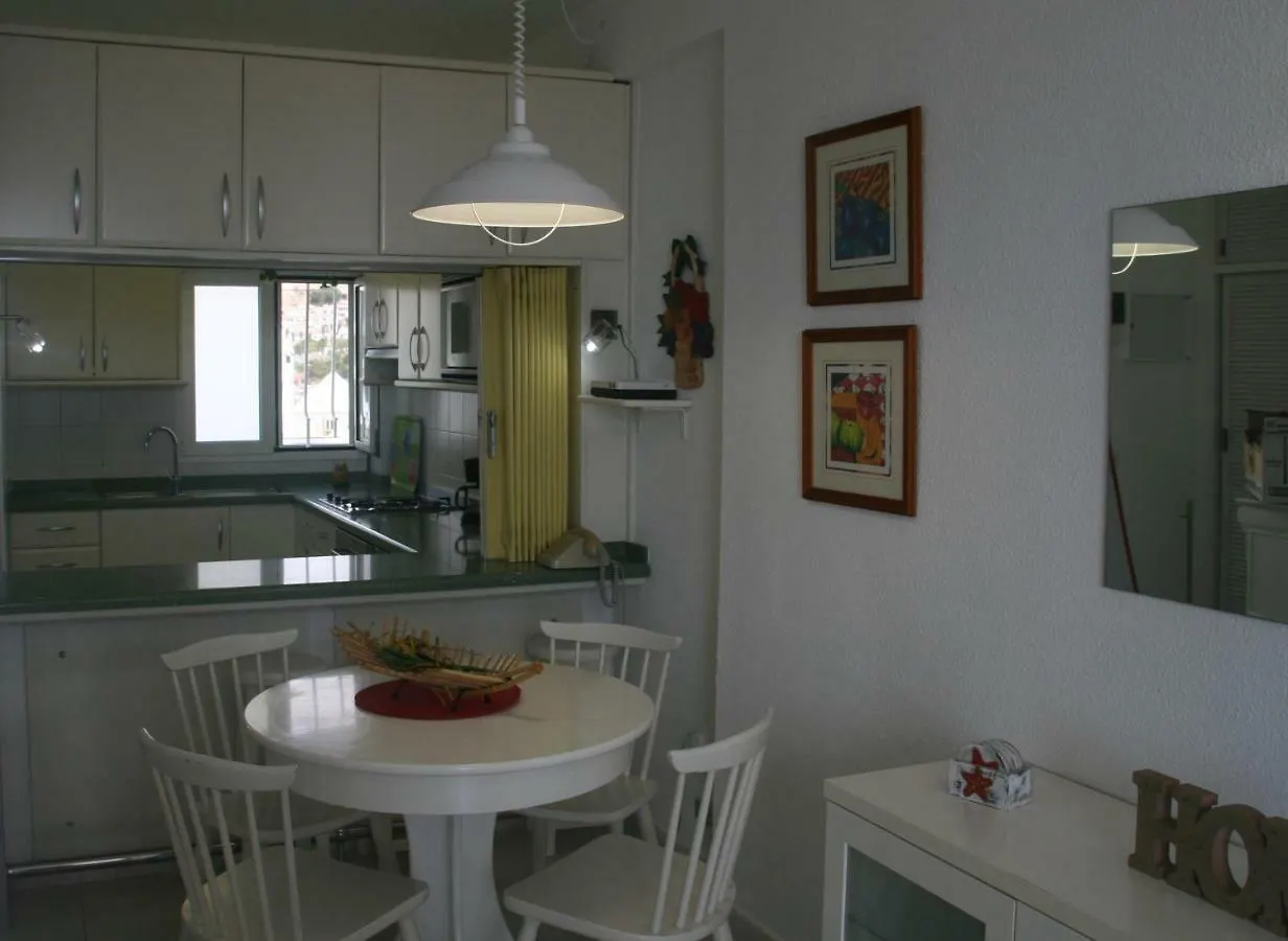 Apartamento Vacacional Playa Playa de las Americas  Playa de las Americas (Tenerife)