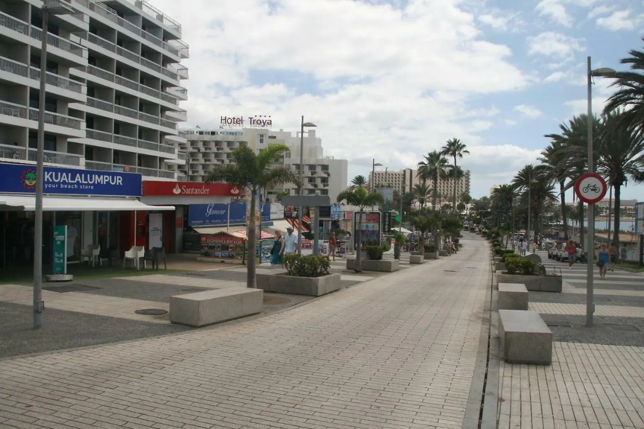 Apartamento Vacacional Playa Playa de las Americas  Apartment